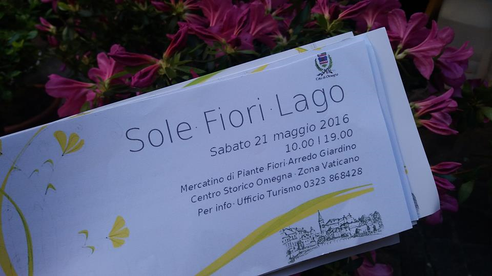 Sole, Fiori, Lago