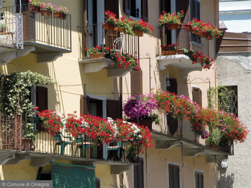L’Amministrazione Comunale, in collaborazione con l’Associazione Fra il Cuore e la Mente e Viviamo Omegna, promuove il Concorso Fiorito.